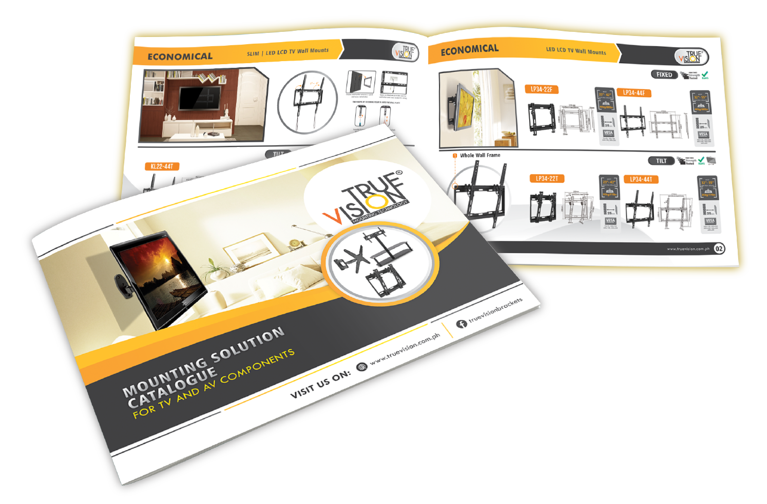 True Vision Brochure