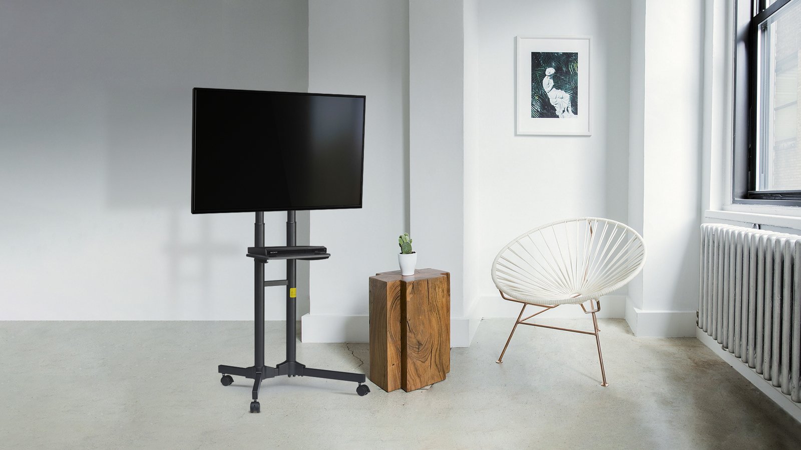 TV22-31T Scene copy